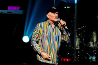 The Beach Boys at ACL Live at Moody Theater 2014